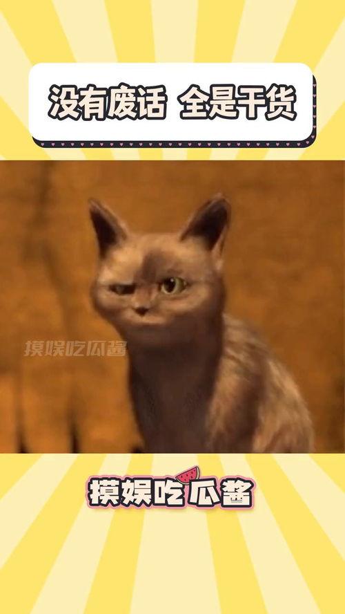 色猫吃瓜网站免费推荐,色猫吃瓜网站免费推荐,带你畅游娱乐新天地 第1张 色猫吃瓜网站免费推荐,色猫吃瓜网站免费推荐,带你畅游娱乐新天地 第1张