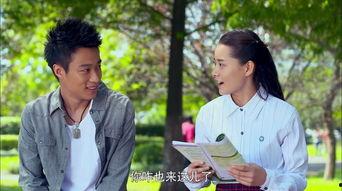 福根进城电视剧全集在线观看,温情都市生活大剧，温情满满，笑中带泪！  第3张